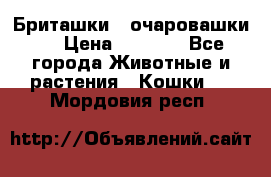 Бриташки - очаровашки.  › Цена ­ 3 000 - Все города Животные и растения » Кошки   . Мордовия респ.